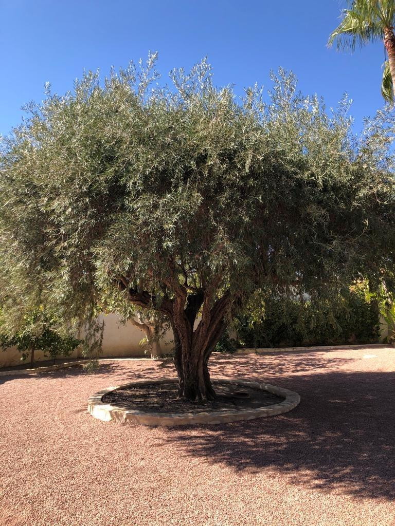 Property main view 23