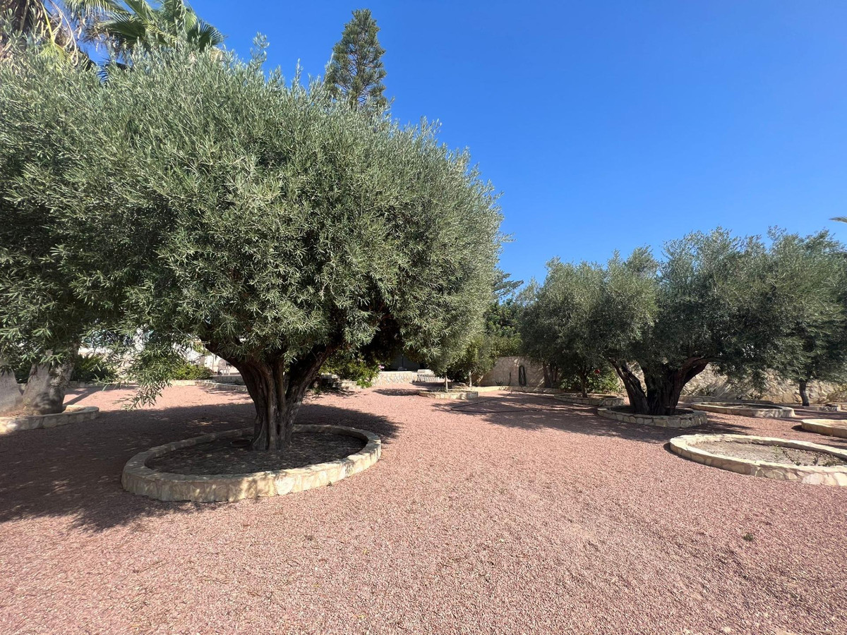 Property main view 24