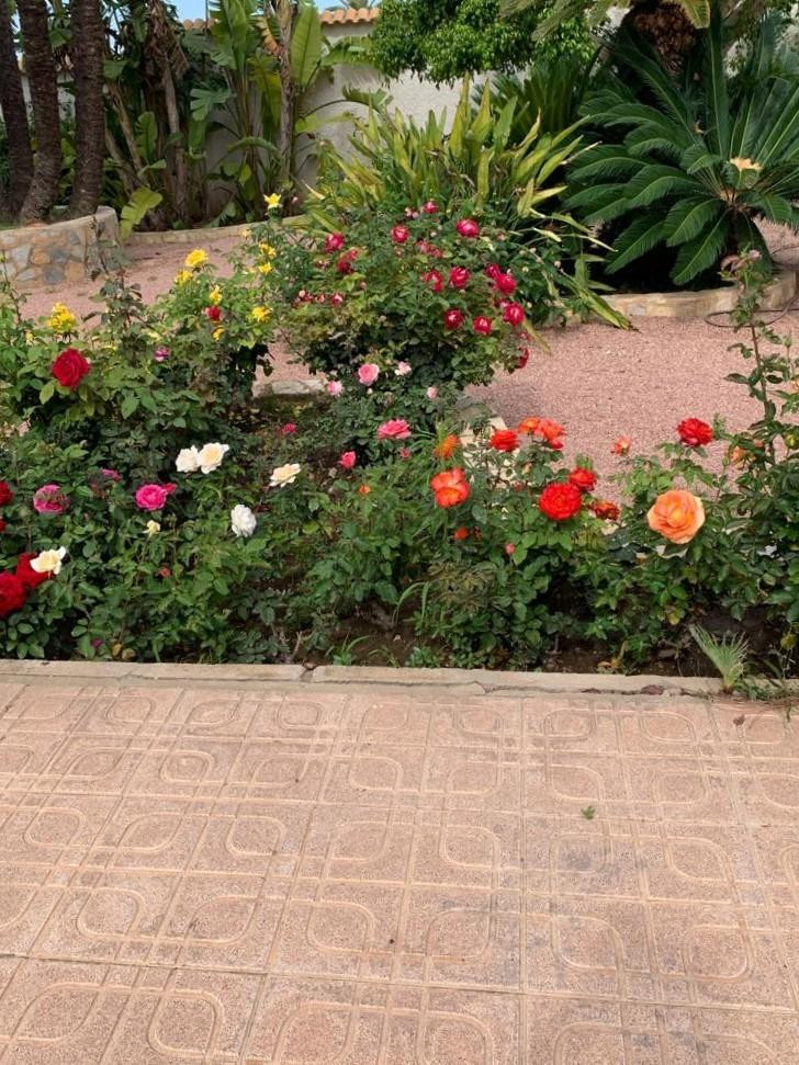 Property main view 25