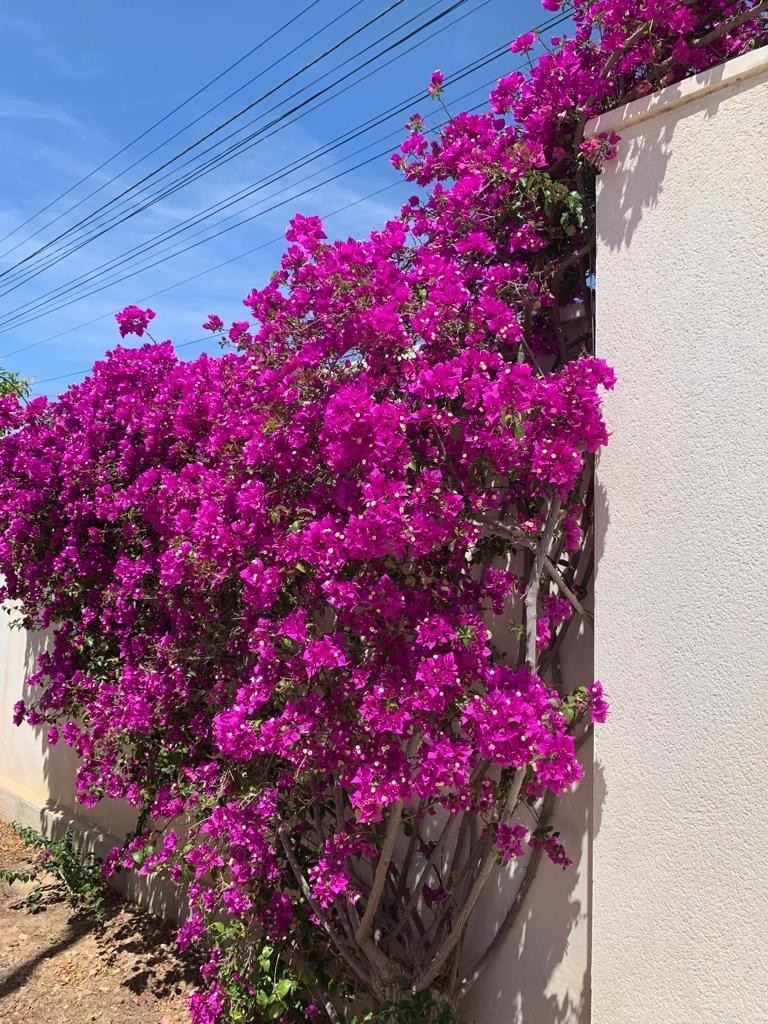 Property main view 7