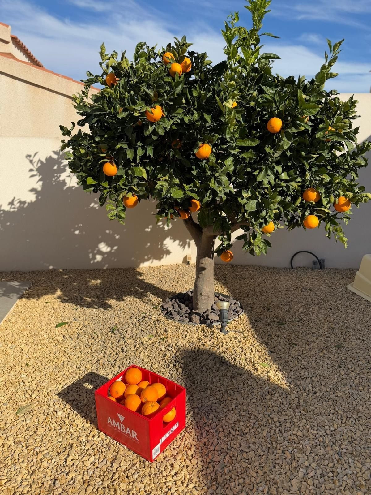 Property main view 19