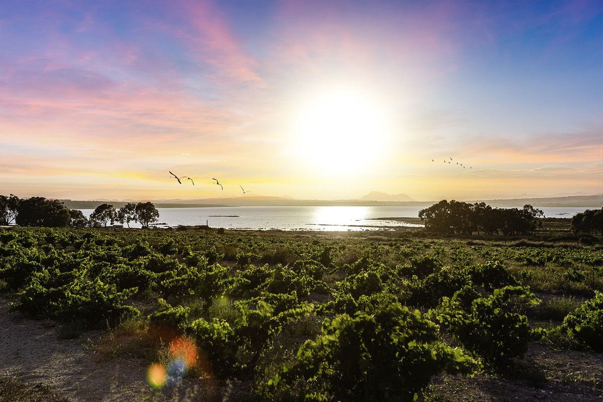 Property main view 48