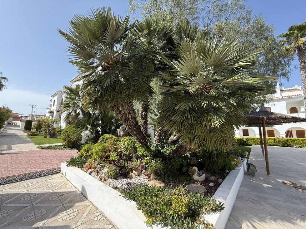 Property main view 27