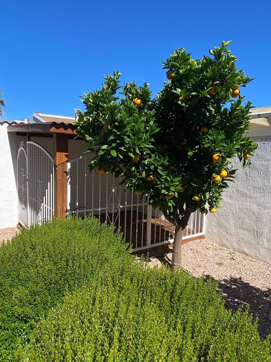 Huis te koop in Ciudad Quesada | 3 slaapkamers H5517160