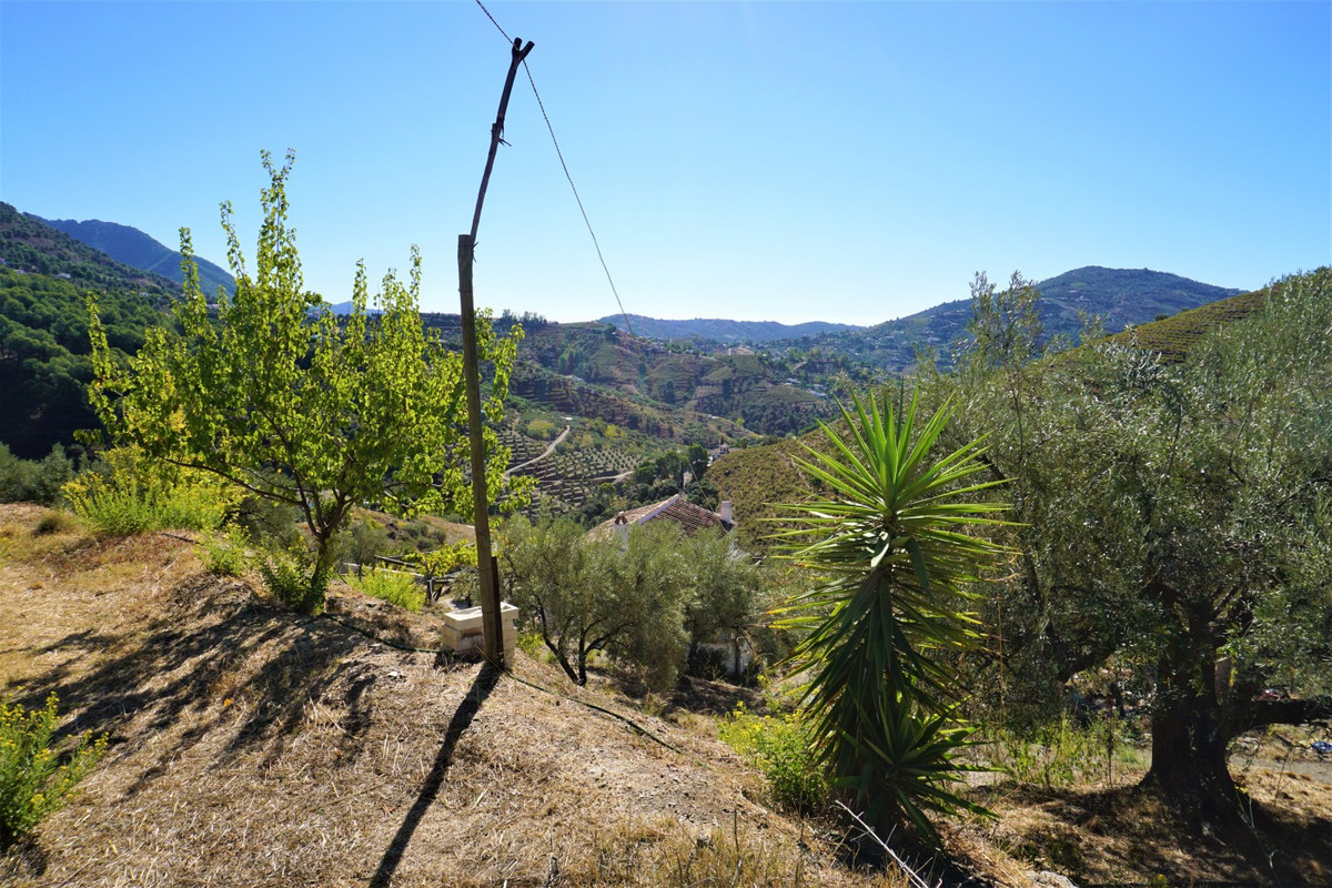 Property main view 11