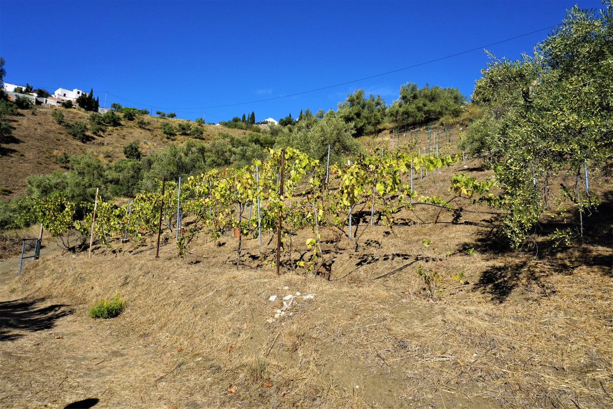 Property main view 9