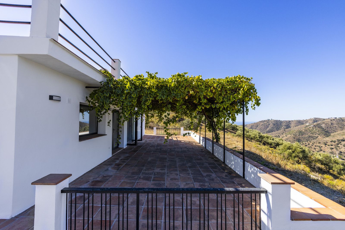 Finca - Cortijo in Cómpeta-10