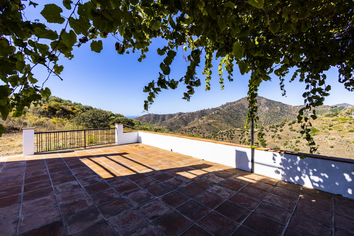 Finca - Cortijo in Cómpeta-12