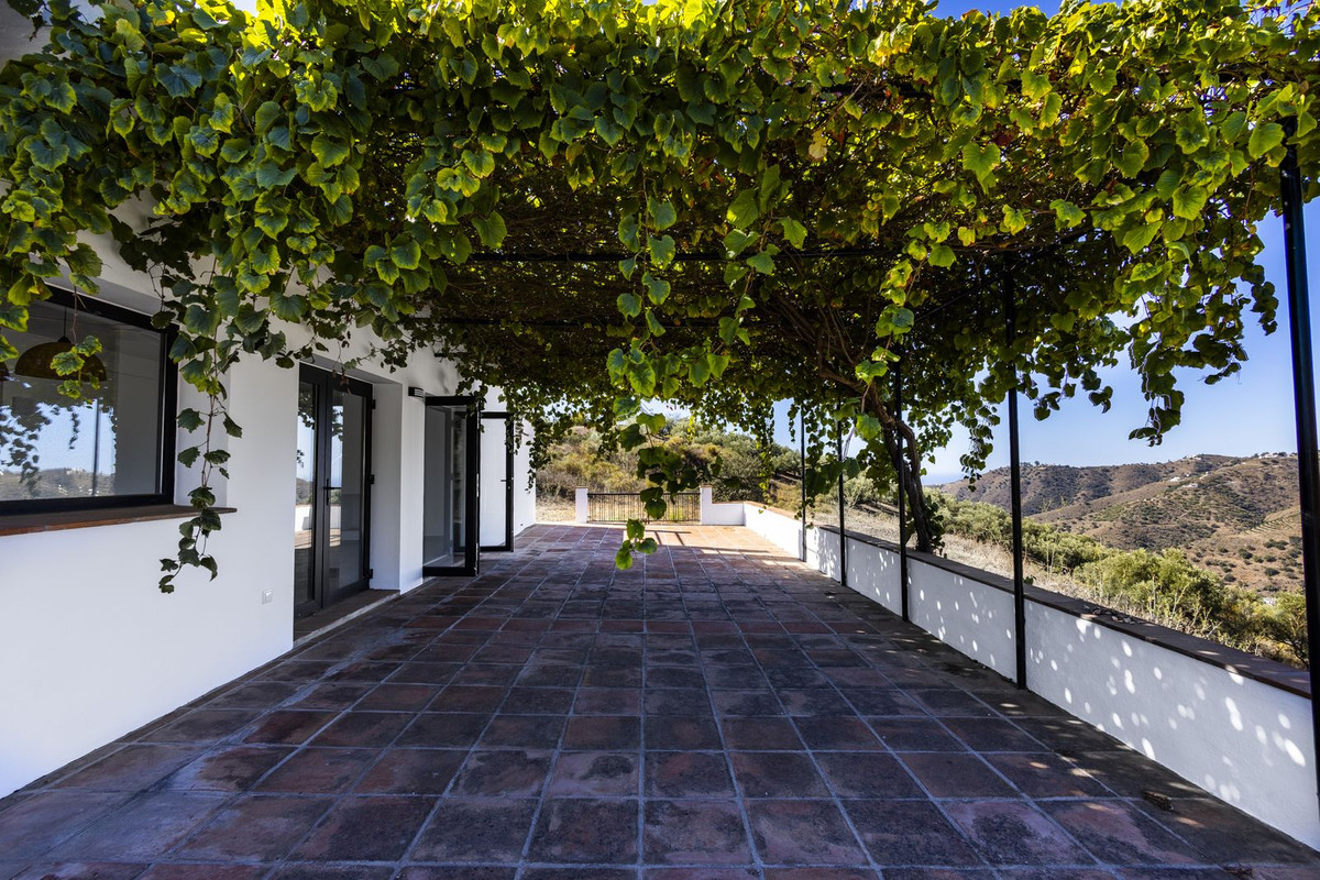 Finca - Cortijo in Cómpeta-14