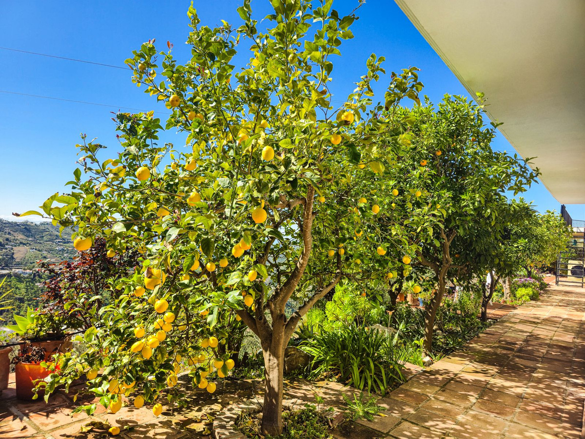 Huis te koop in Cómpeta | 5 slaapkamers H5321845