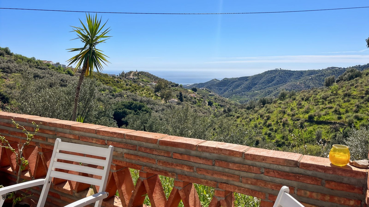 Property main view 31