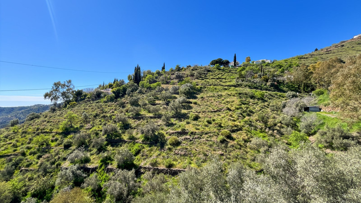 Property main view 35