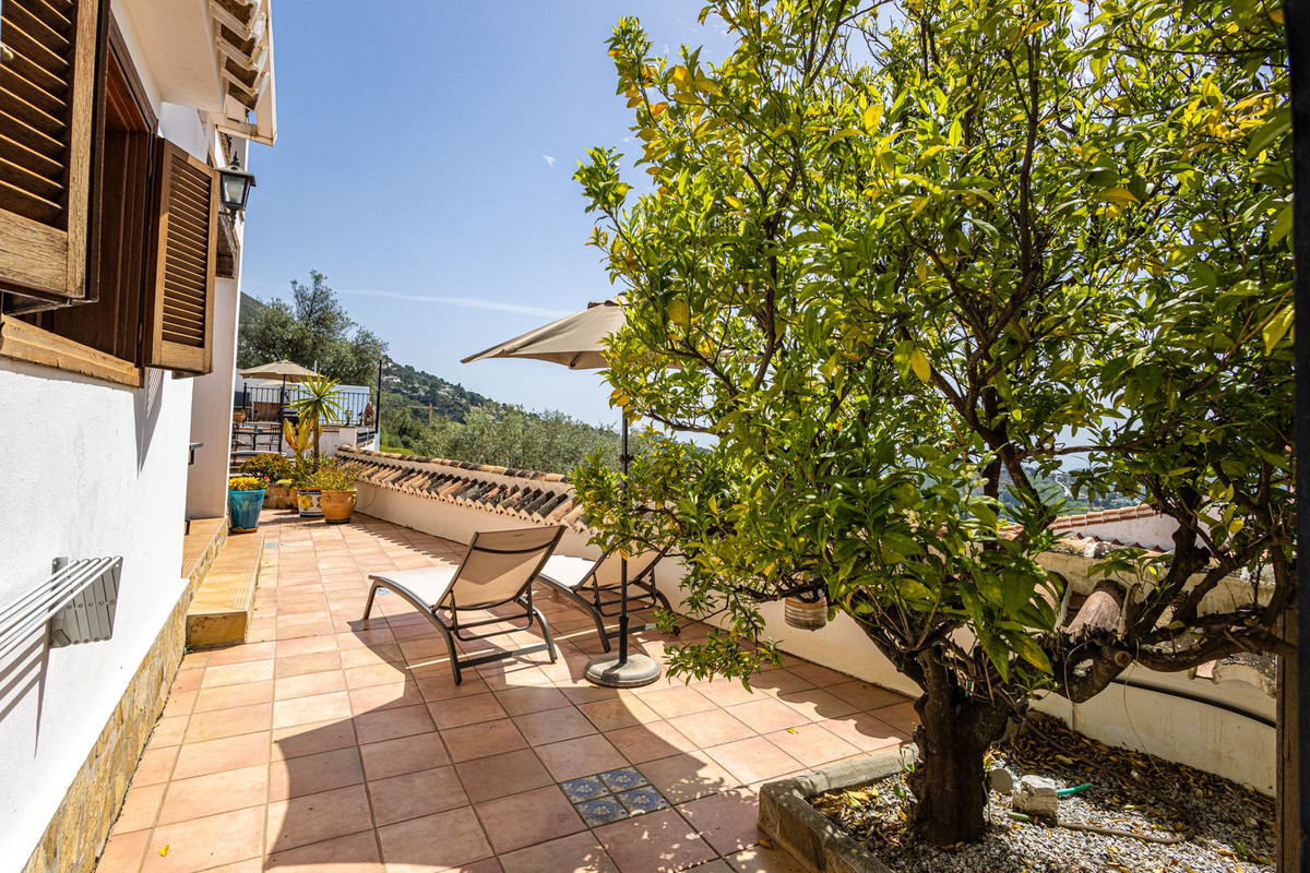 Property main view 80