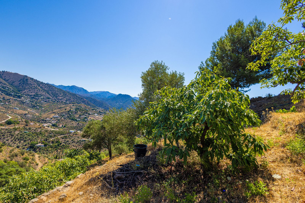 Property main view 74