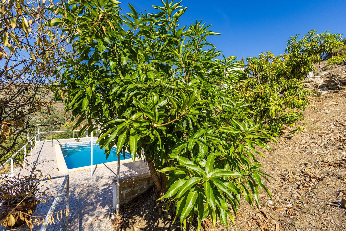 Property main view 34