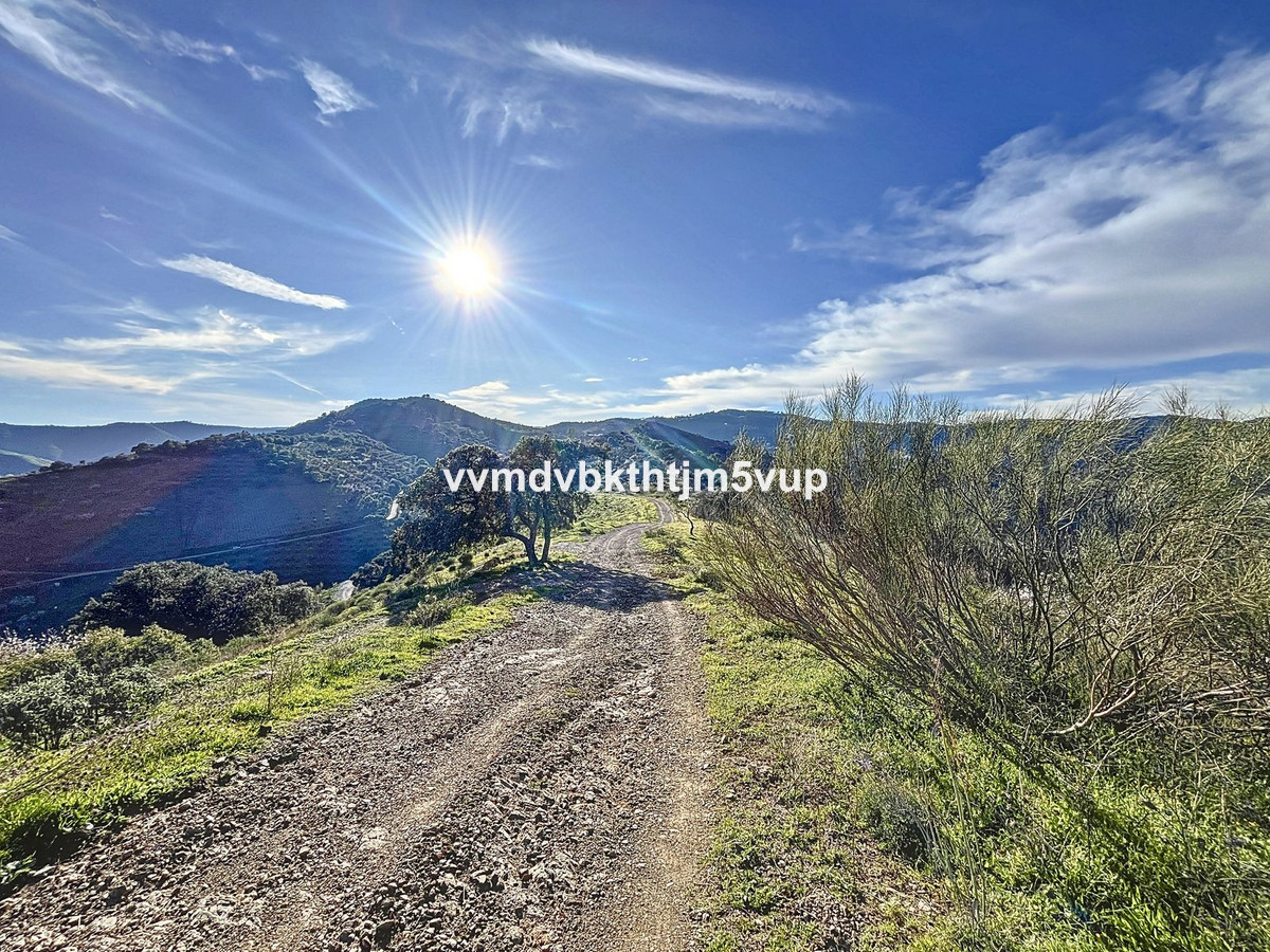 Finca - Cortijo te koop in Colmenar | 3 slaapkamers H4966798