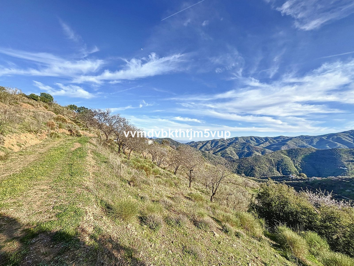 Finca - Cortijo te koop in Colmenar | 3 slaapkamers H4966798