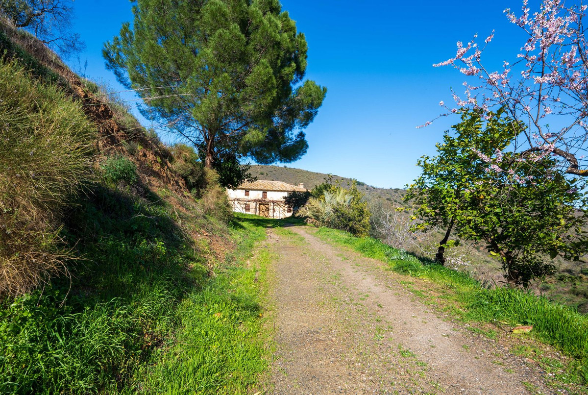 Property main view 13