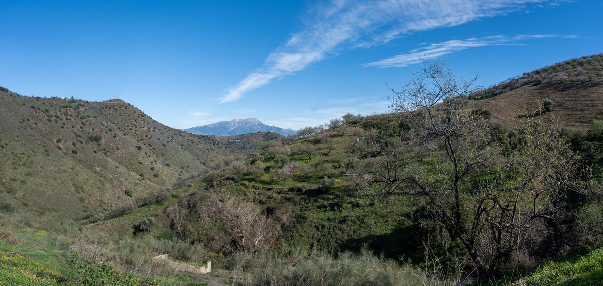 Property main view 20