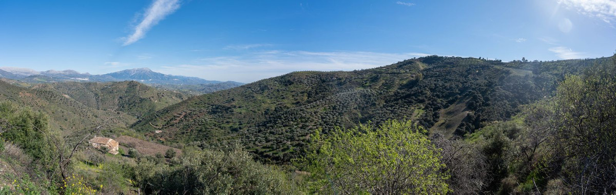 Property main view 24