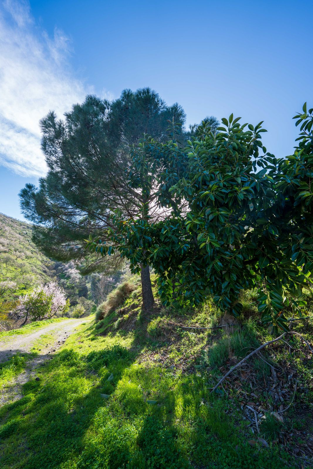 Property main view 26