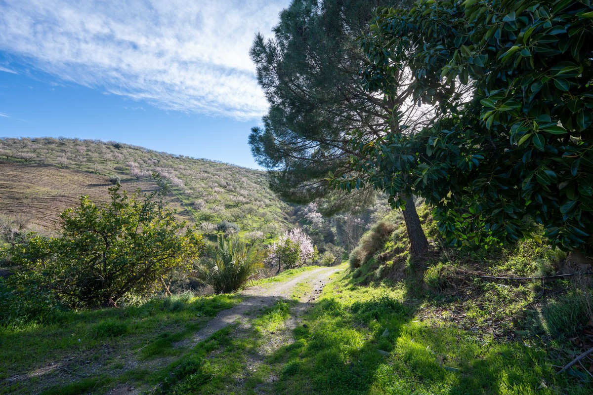 Property main view 27