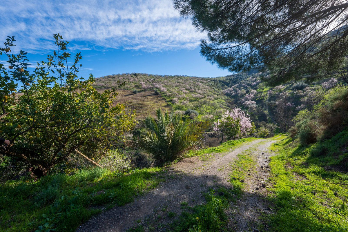 Property main view 28