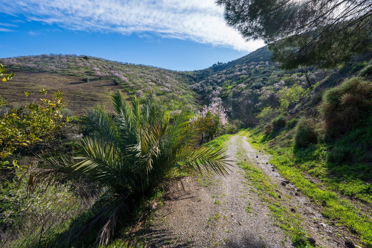 Property main view 29