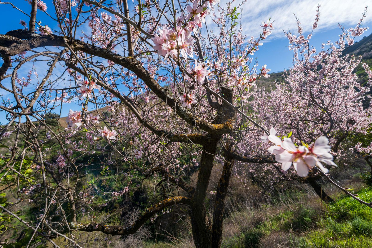 Property main view 30