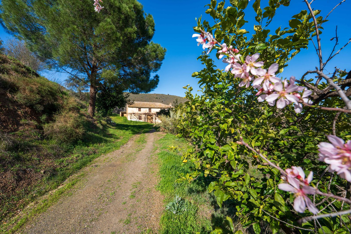 Property main view 32