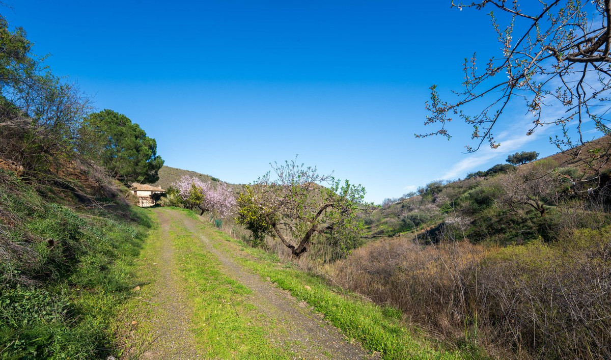 Property main view 33