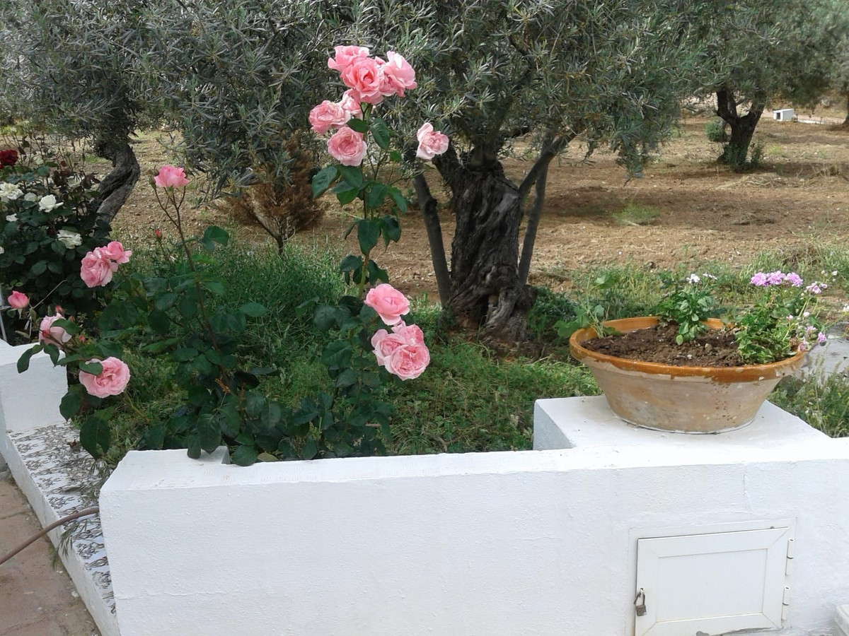Property main view 9