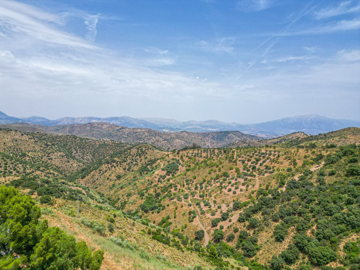 Property main view 10