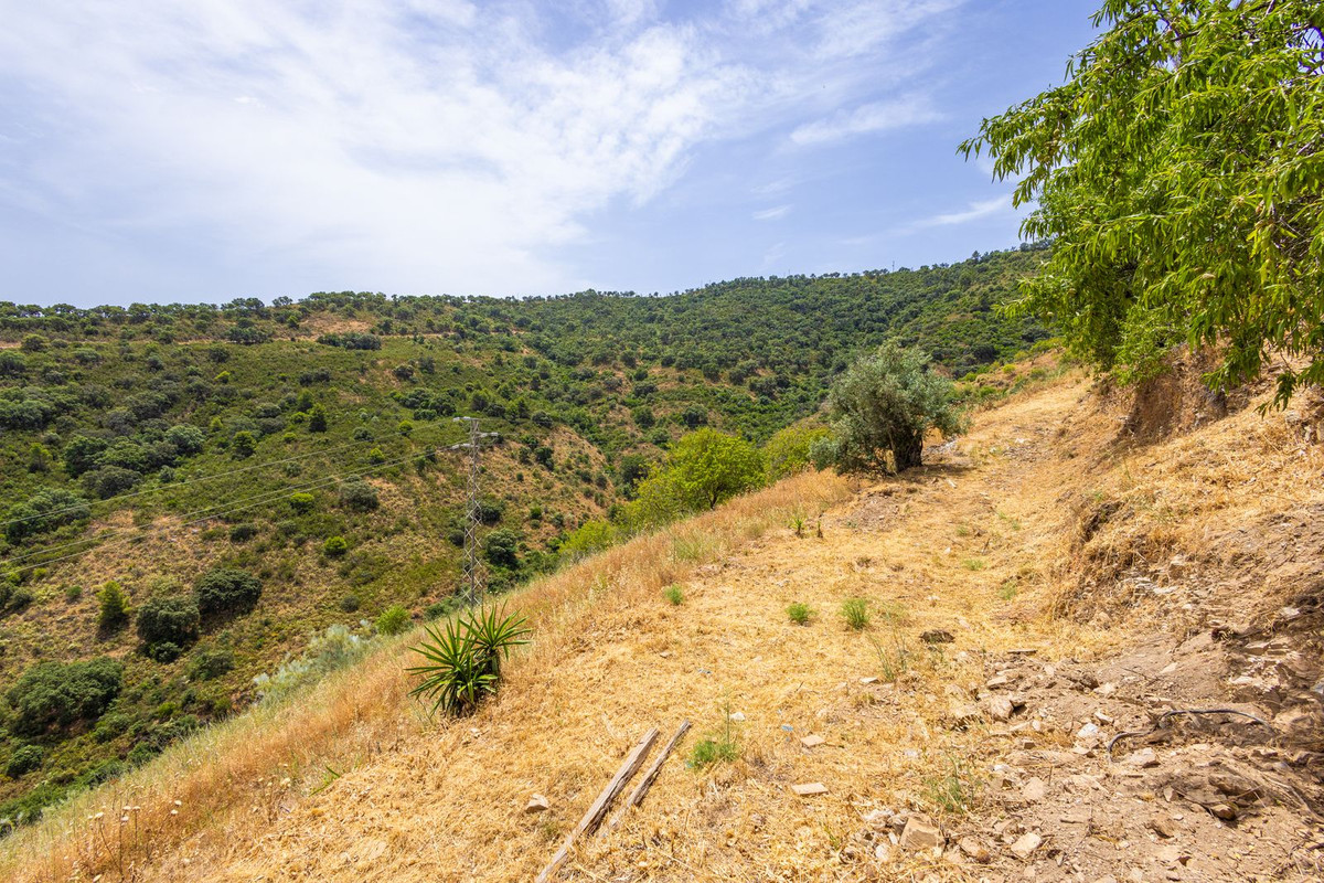 Property main view 99