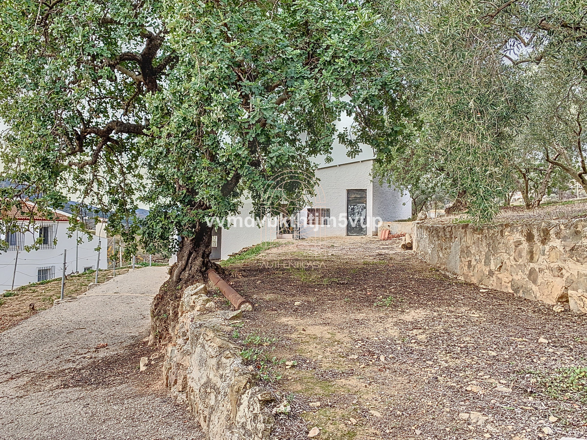 Finca - Cortijo te koop in Comares | 6 slaapkamers H4966804