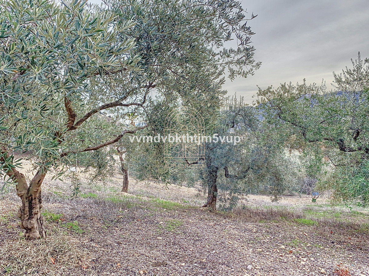 Finca - Cortijo te koop in Comares | 6 slaapkamers H4966804