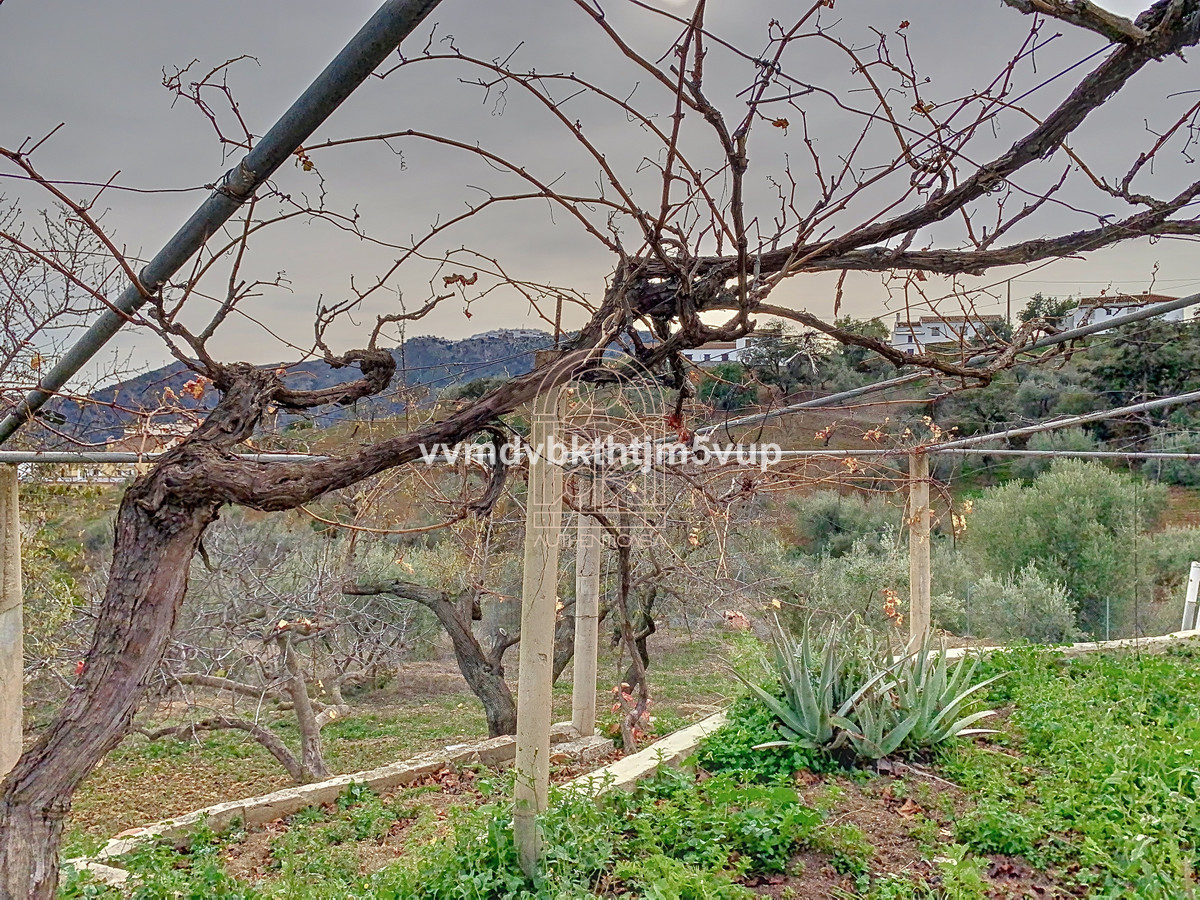Finca - Cortijo te koop in Comares | 6 slaapkamers H4966804