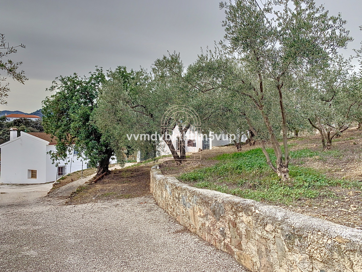 Finca - Cortijo te koop in Comares | 6 slaapkamers H4966804