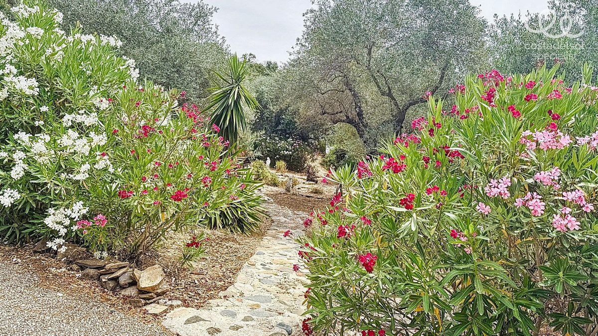 Finca - Cortijo te koop in Comares | 4 slaapkamers H5078227