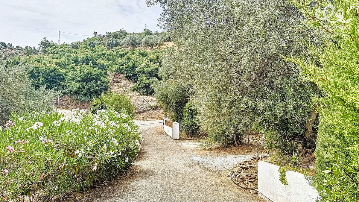 Finca - Cortijo te koop in Comares | 4 slaapkamers H5078227