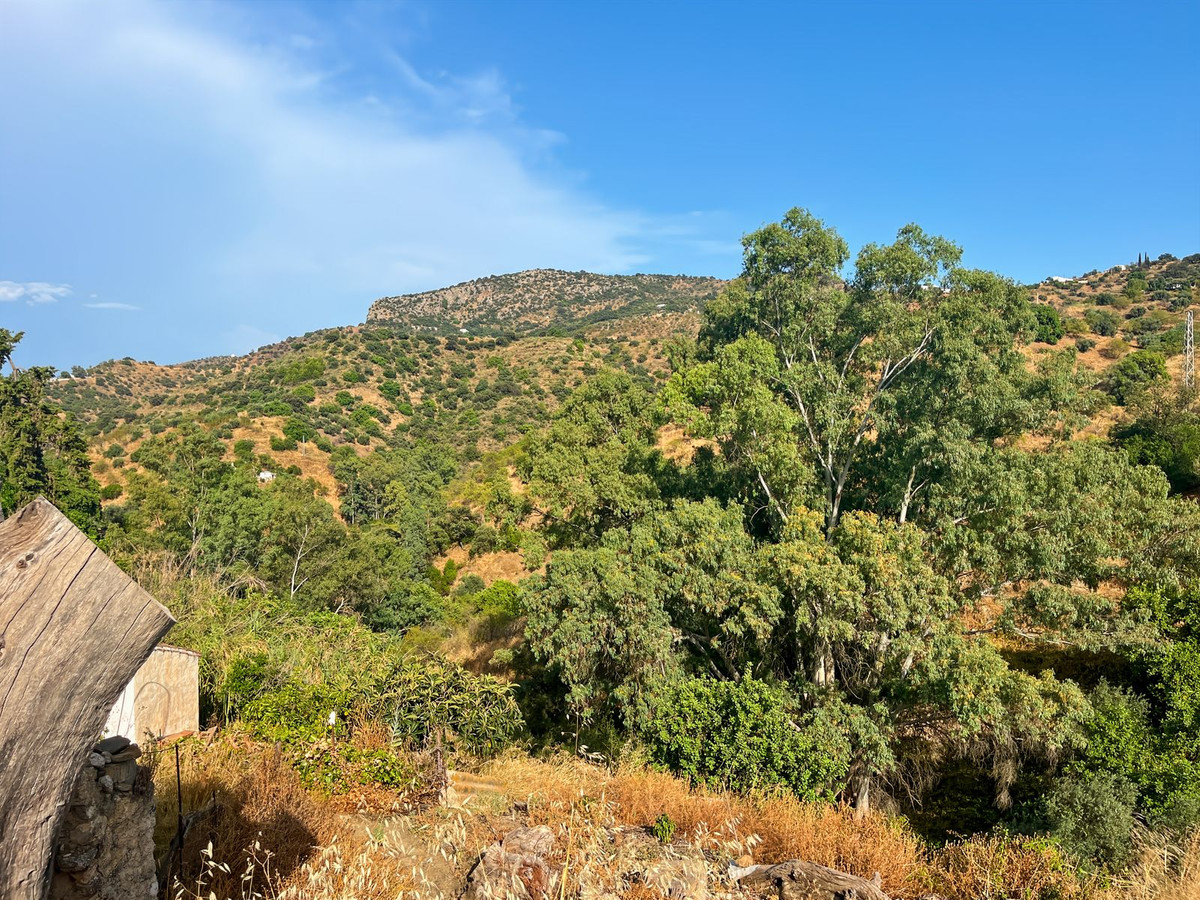 Finca - Cortijo te koop in Comares | 5 slaapkamers H5153482