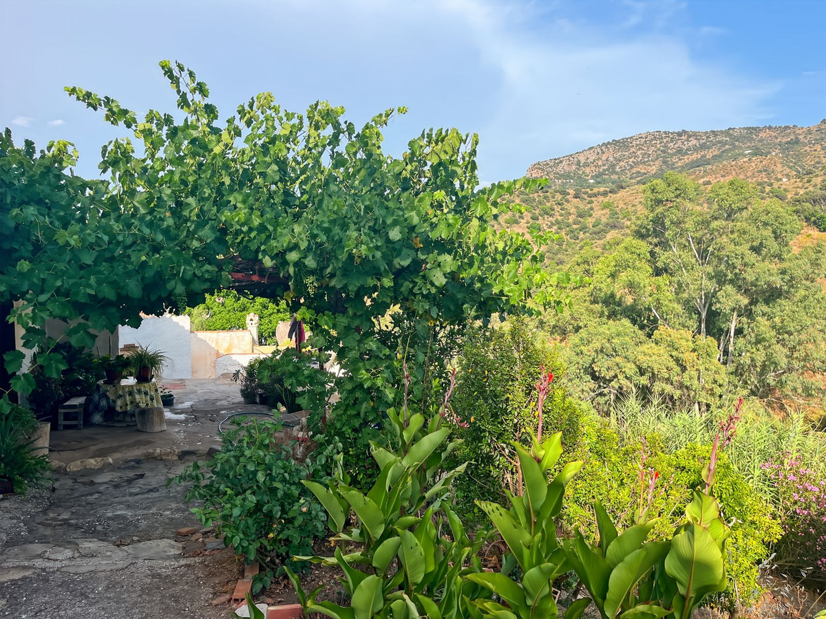Finca - Cortijo te koop in Comares | 5 slaapkamers H5153482