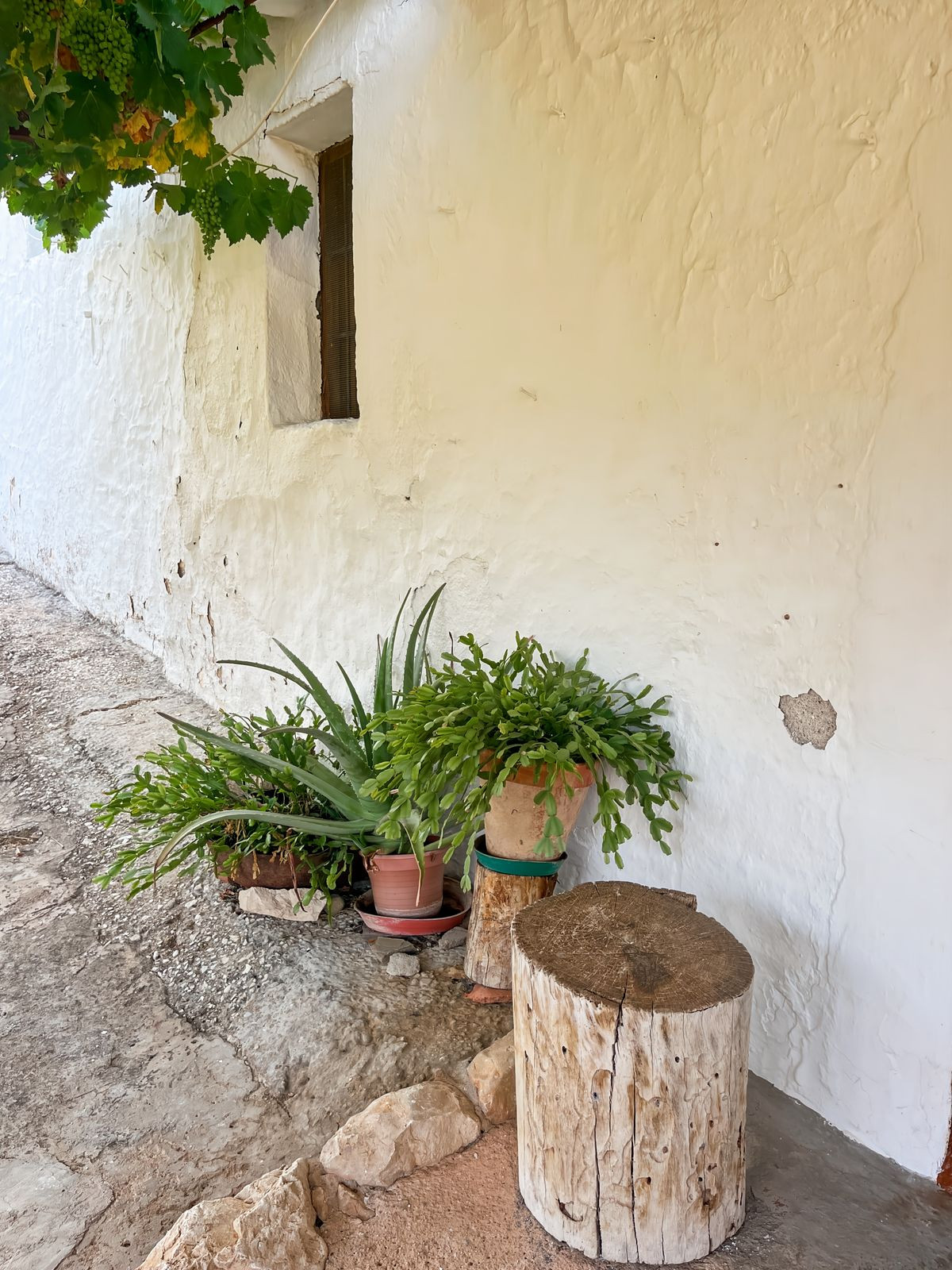 Finca - Cortijo te koop in Comares | 5 slaapkamers H5153482