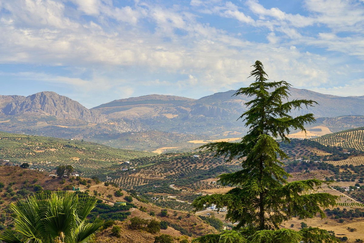 Finca - Cortijo te koop in Comares | 5 slaapkamers H5184568