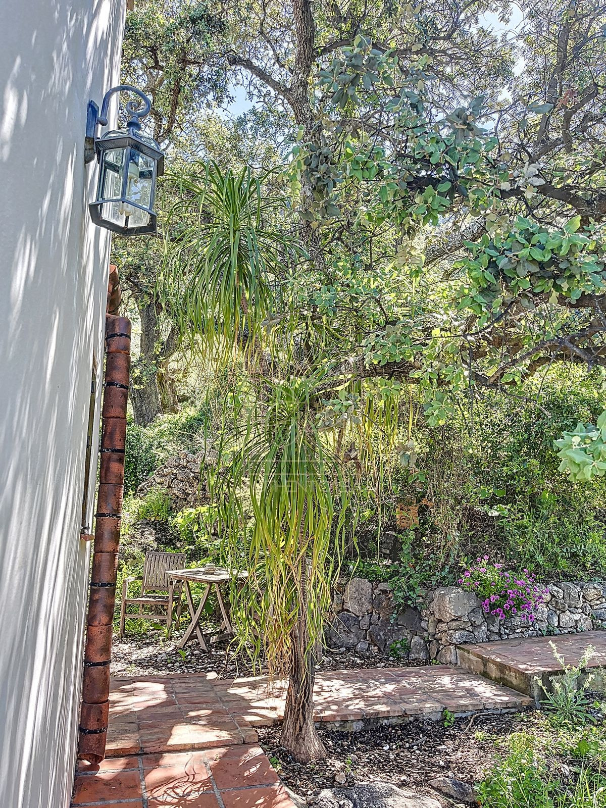 Finca - Cortijo te koop in Comares | 4 slaapkamers H5206006