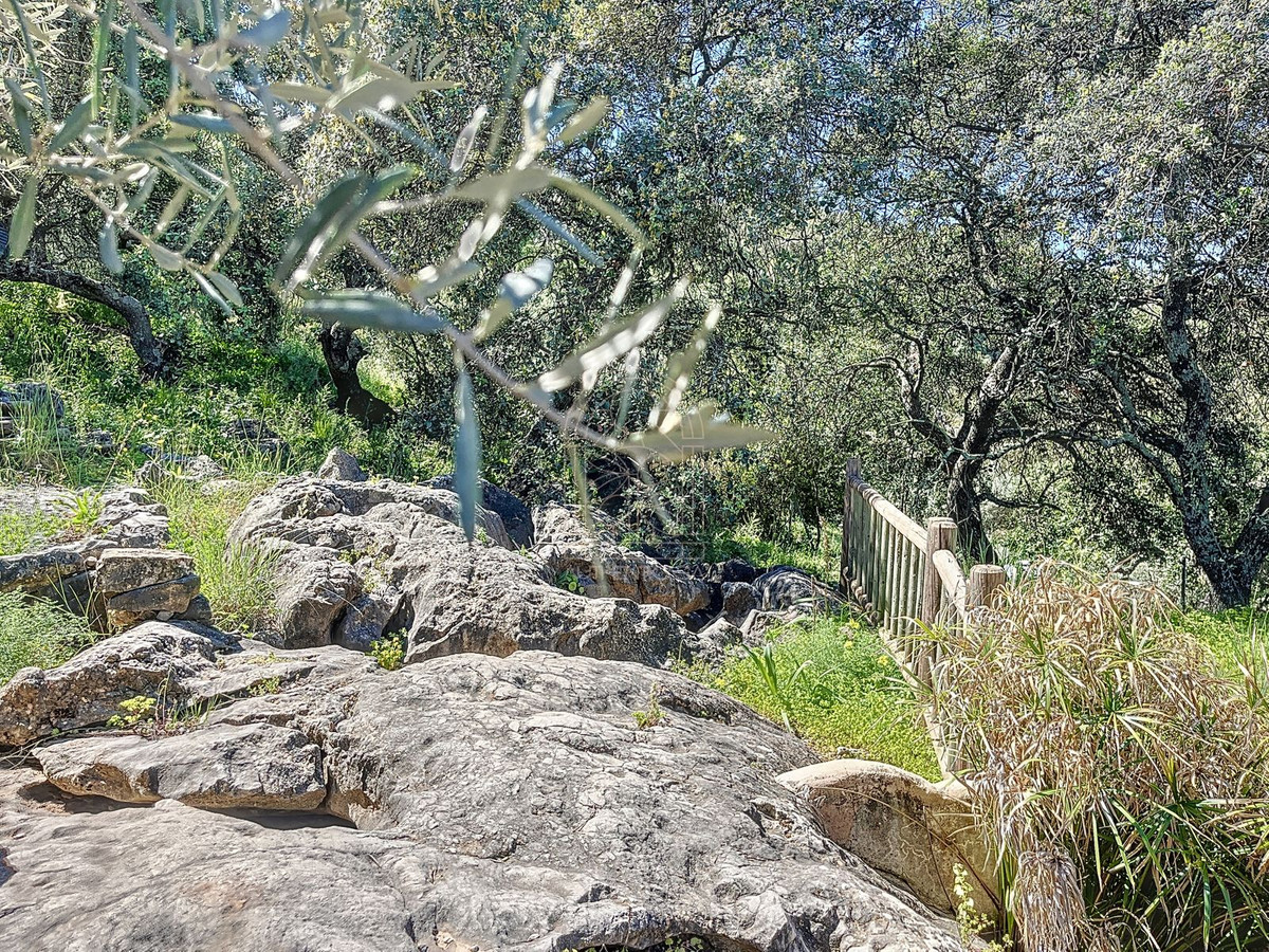 Finca - Cortijo te koop in Comares | 4 slaapkamers H5206006