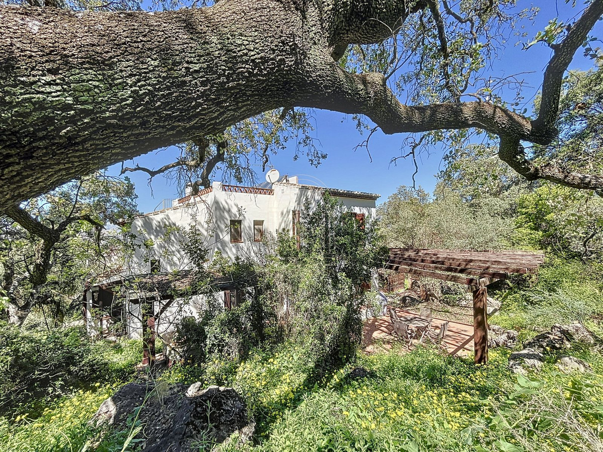 Finca - Cortijo te koop in Comares | 4 slaapkamers H5206006