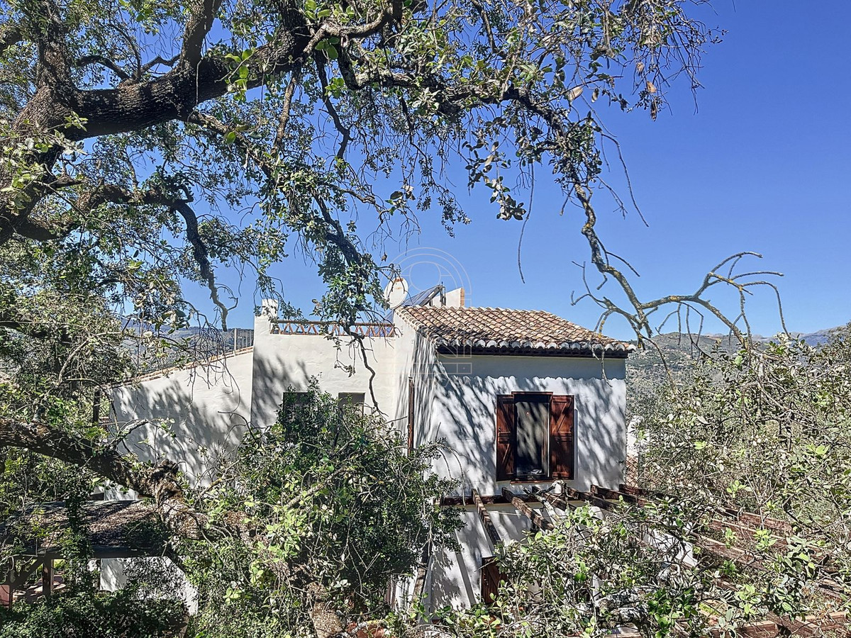 Finca - Cortijo te koop in Comares | 4 slaapkamers H5206006