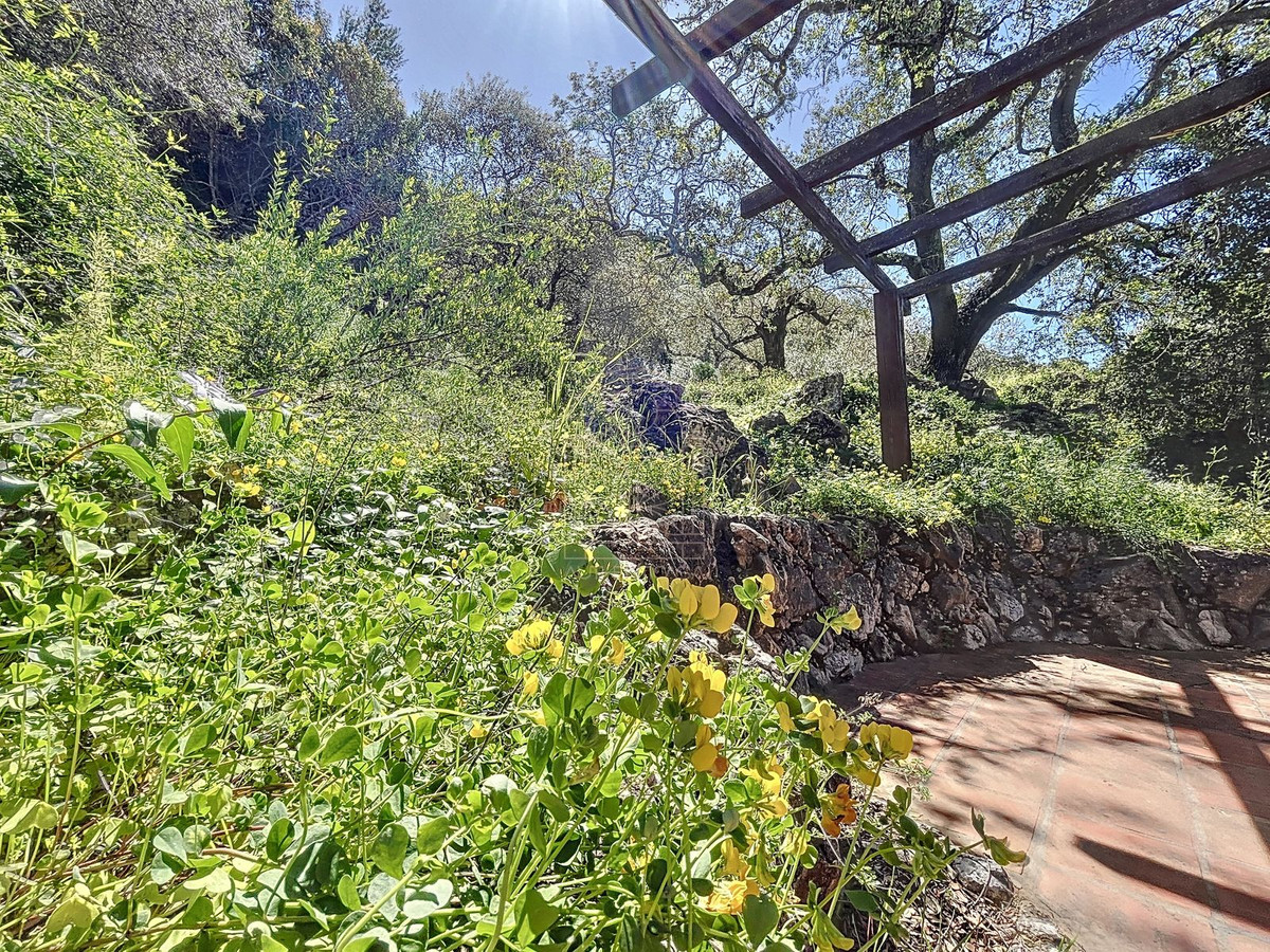 Finca - Cortijo te koop in Comares | 4 slaapkamers H5206006