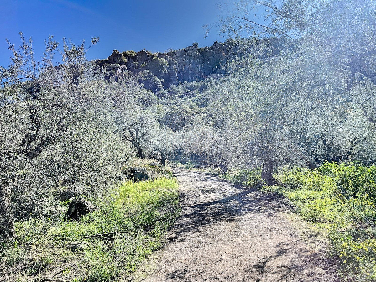 Finca - Cortijo te koop in Comares | 4 slaapkamers H5206006